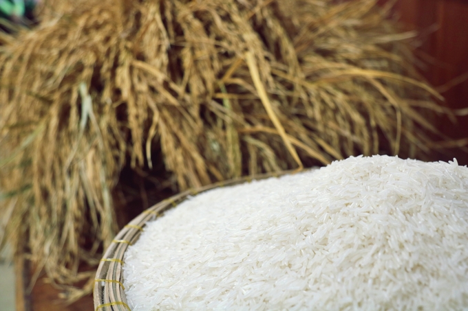 Giá gạo trong nước tiếp tục tăng theo giá gạo xuất khẩu là một trong những yếu tố đưa CPI tháng 1/2024 tăng 3,4% so với cùng kỳ năm 2023. Ảnh: Phương Thảo.