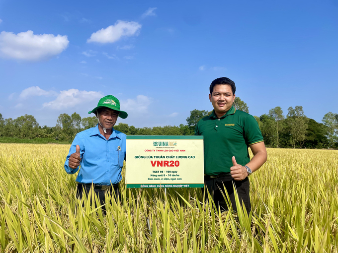Ông Sơn Minh Út, thị trấn Long Phú, huyện Long Phú, tỉnh Sóc Trăng (bên trái) cho hay, đây là năm thứ 3 ông trồng giống lúa VNR20.