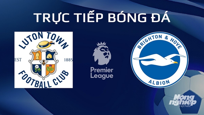 Trực tiếp bóng đá Ngoại hạng Anh giữa Luton Town vs Brighton hôm nay 31/1/2024
