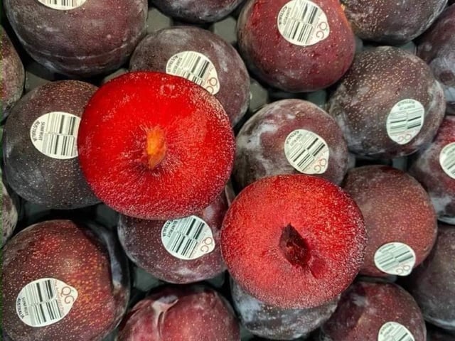 Australia has proposed an early opening of the market for Australian plums in Vietnam, while reciprocally, conditions will be created for Vietnamese passion fruits to enter the Australian market.