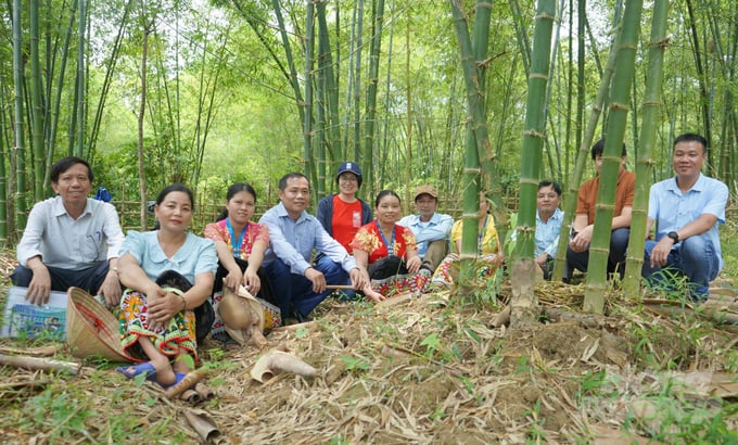 Không riêng huyện Tương Dương, mét là cây trồng quan trọng đối với các huyện miền núi của Nghệ An. Ảnh: Khôi An.  