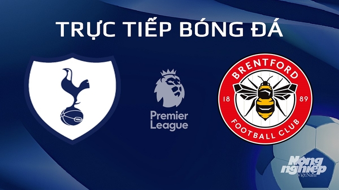Trực tiếp bóng đá Ngoại hạng Anh giữa Tottenham vs Brentford hôm nay 1/2/2024