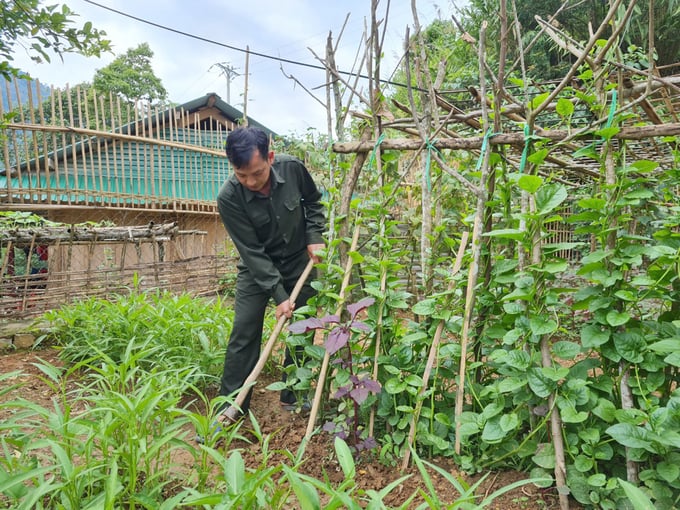 Kinh phí có được từ bán tín chỉ các bon rừng giúp giảm tải áp lực lên các chủ rừng và người lao động. Ảnh: Việt Khánh. 