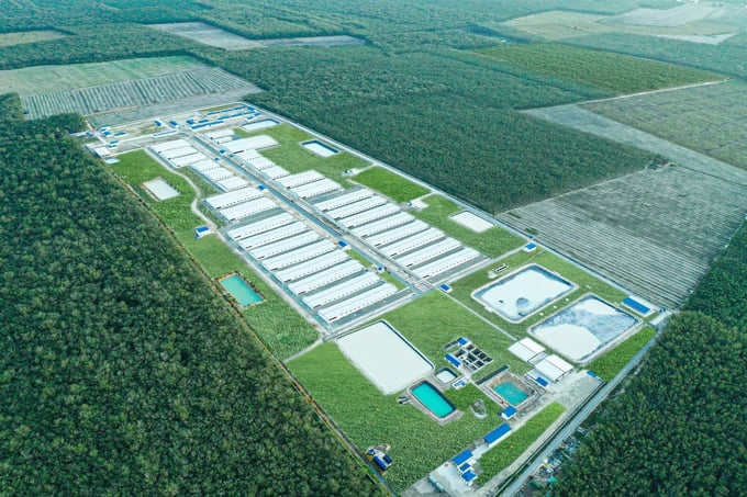Vina Farm sử dụng hệ thống hoàn thiện theo công nghệ G7 bảo vệ môi trường.