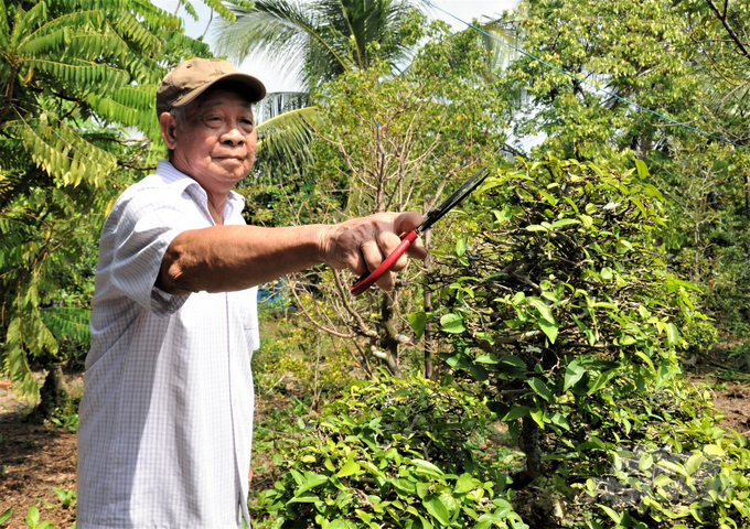 Sống vui thú điền viên ở cái tuổi 84, ông Út Ẩn vẫn thích trồng cây, chăm sóc kiểng, nuôi cá, gà, vịt, để con cháu khi về quây quần ngày Tết có cái ăn. Ảnh: Trung Chánh.