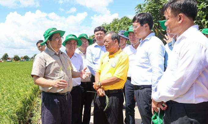 Thủ tướng Phạm Minh Chính, Bộ trưởng Lê Minh Hoan thăm hợp tác xã sản xuất lúa tại tỉnh Đồng Tháp. Ảnh: VGP.