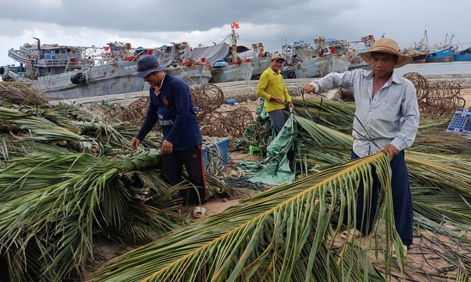 Không chỉ có ngư dân Bình Định, ngư dân nhiều địa phương phía Nam hiện nay vẫn duy trì hiệu quả kinh nghiệm đánh bắt bằng việc làm chà thu hút hải sản. Ảnh: Nguyên Minh.