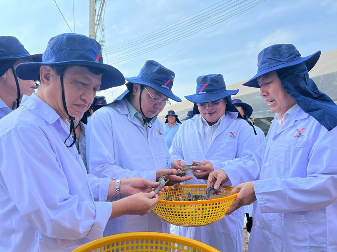 Lãnh đạo tỉnh Bạc Liêu, Cà Mau tham quan thu hoạch tôm tại Khu phức hợp ngành tôm công nghệ cao GrowMax Bạc Liêu.