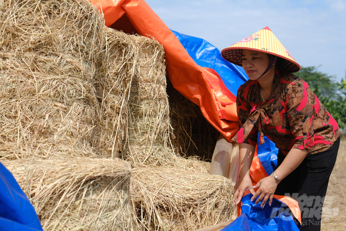 Chị Trần Thị Lanh - đại điền chủ đâu tiên ở quê lúa Thái Bình mua máy cuộn rơm về để giữ rơm rạ từ đồng ruộng. Ảnh: Kiên Trung.