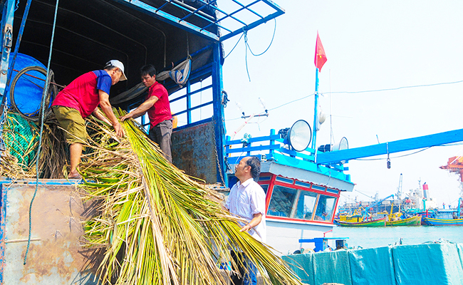 Ngư dân Hoài Nhơn (Bình Định) chuyển vật liệu làm chà xuống tàu để đưa ra ngư trường quần đảo Trường Sa thả chà. Ảnh: Ngọc Thuận.