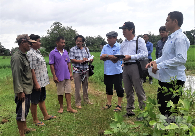 Quá trình thực hiện dự án hợp tác, đoàn cán bộ Sở NN-PTNT Kiên Giang phối hợp với Sở Nông lâm nghiệp Salavan thường xuyên thăm đồng và gặp gỡ, trao đổi với nông dân thực hiện các mô hình trồng lúa. Ảnh: NVCC.