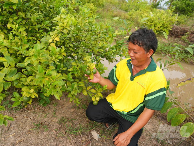 Anh Trần Minh Tâm, nông dân làm ăn giỏi và có tư duy tiến bộ bên vườn cây trái hữu cơ. Ảnh: Hồng Thủy.