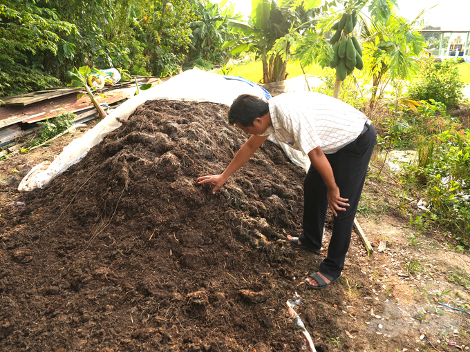 Phân hữu cơ ủ từ rơm sau khi trồng nấm trong vườn anh Tâm. Ảnh: Hồng Thủy.