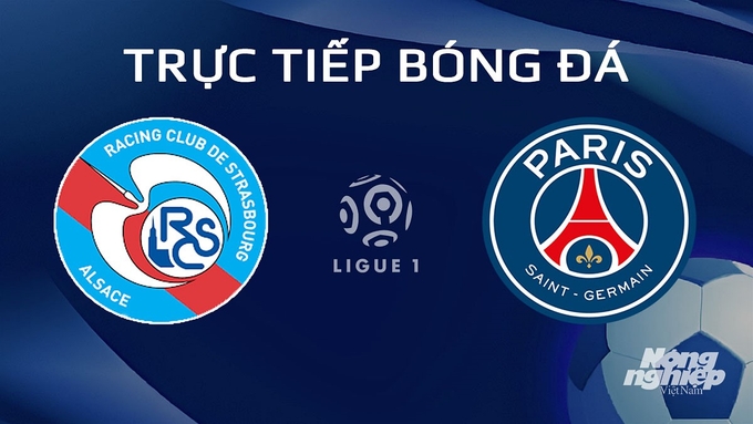 Trực tiếp bóng đá Ligue 1 (VĐQG Pháp) 2023/24 giữa Strasbourg vs PSG hôm nay 3/2/2024