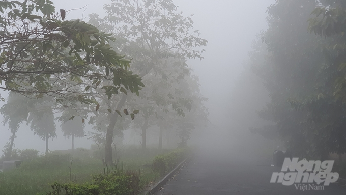 Sương mù bao phủ khiến cảnh vật của Thủ đô sáng 2/2 mờ ảo, thơ mộng.