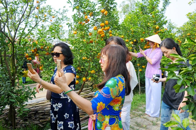 Đặc biệt vào các ngày nghỉ cuối tuần, lượng khách tới nhà vườn của ông Kiệt lên đến 400 - 500 người.