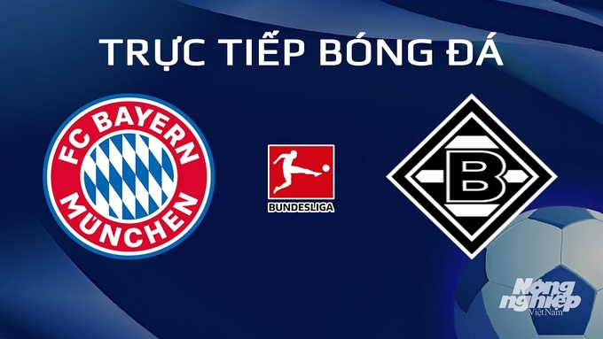 Trực tiếp bóng đá Bundesliga 2023/24 giữa Bayern Munich vs Gladbach hôm nay 3/2/2024