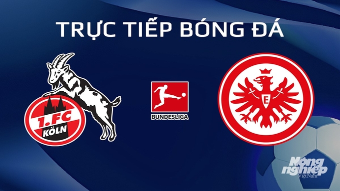 Trực tiếp bóng đá Bundesliga 2024/24 giữa Koln vs Eintracht Frankfurt ngày 4/2/2024