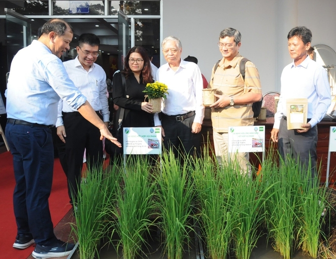 Các đại biểu tham quan mô hình kinh tế tuần hoàn trong chuỗi sản xuất lúa gạo do IRRI thực hiện.