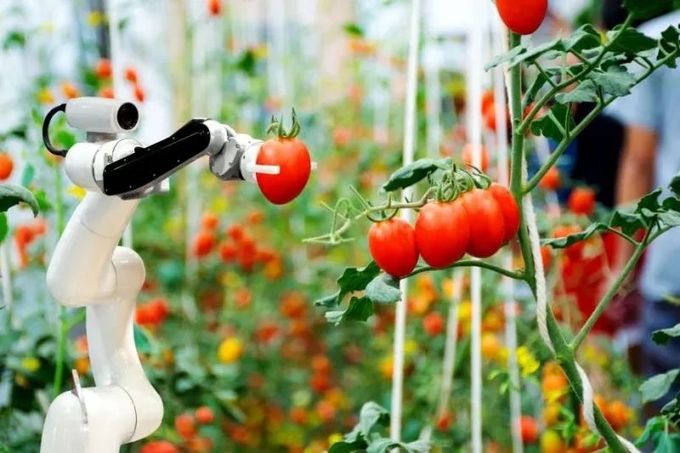 Cánh tay robot được sử dụng để thu hoạch. 