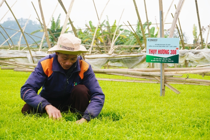 Ông Vũ Hải Đăng, thôn Quý Tiến, xã Hải Sơn, huyện Hà Trung, Thanh Hóa cho biết, sử dụng mạ khay - máy cấy với giống lúa Thụy Hương 308, chỉ chưa đầy 60 phút là xong hơn 3 sào ruộng. Ảnh: Hồng Thắm.