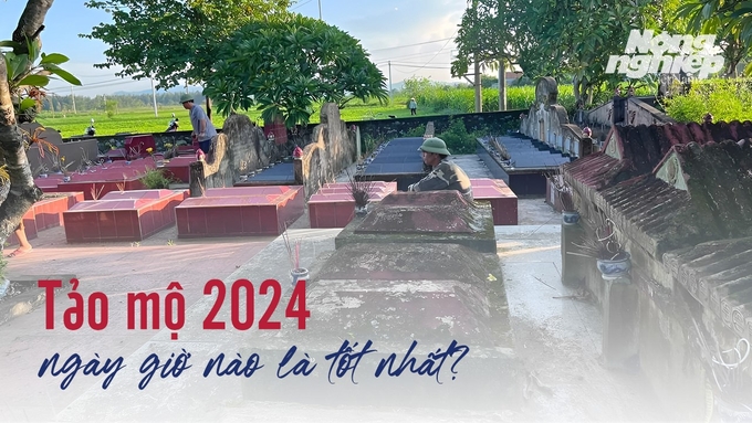 Nên tảo mộvào lúc nào là tốt nhất năm 2024? Cần lưu ý điều gì?