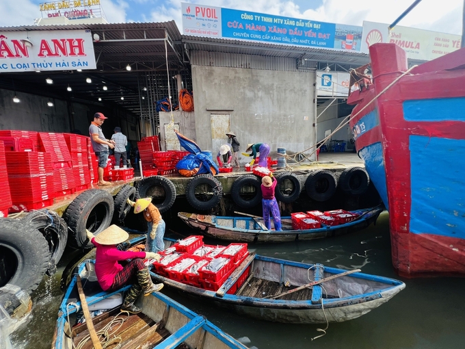 Các cảng cá ở Quảng Ngãi nhộn nhịp những ngày cuối năm. Ảnh: L.K.