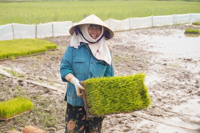 Nụ cười rạng rỡ của người nông dân bên khay mạ xanh mướt. Ảnh: Hồng Thắm.