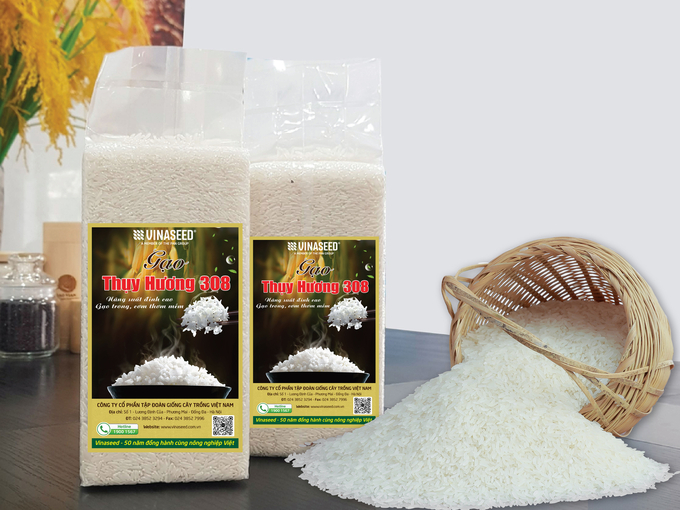 Không chỉ cho năng suất cao, chống chịu sâu bệnh tốt, giống lúa lai Thụy Hương 308 có chất lượng gạo ngon, thơm nhẹ, cơm dẻo. Ảnh: TL.