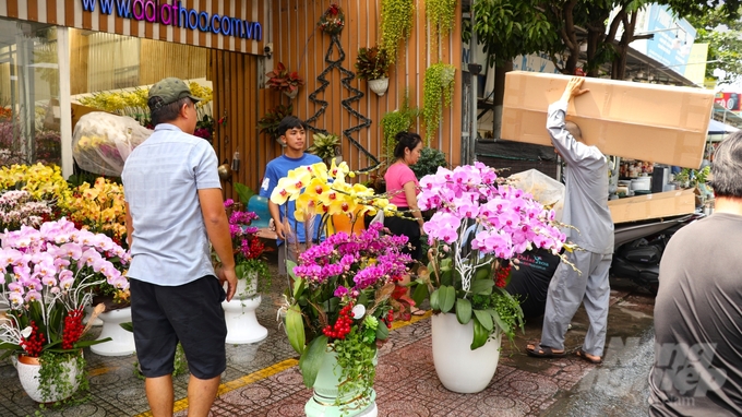 Ngược lại với chợ hoa kiểng, thị trường hoa tươi lại sôi động hơn. Ảnh: Trần Phi.