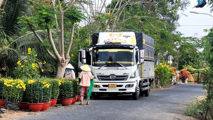 Nông dân đưa hoa ra ven đường để bán lẻ, bán xổ hàng.