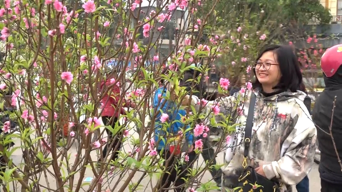 Tỉnh Lạng Sơn được coi là xứ sở của hoa đào. Ảnh: Nguyễn Thành.