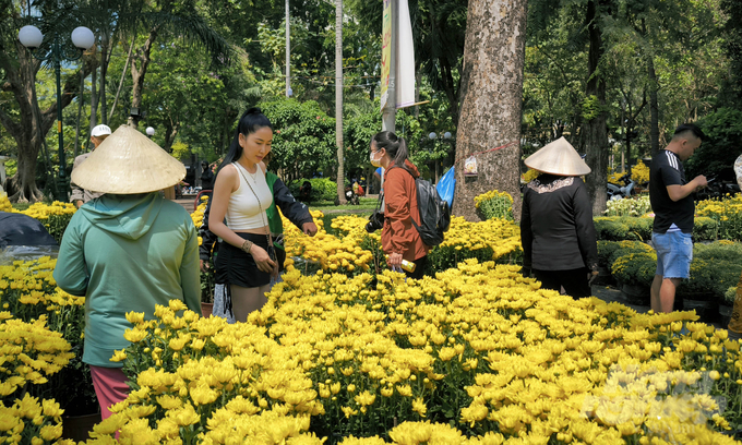 Nhiều người cũng tranh thủ đi mua hoa chiều 30 Tết để được giá tốt, hoa cũng đang trong giai đoạn nở đẹp. Ảnh: Lê Bình.