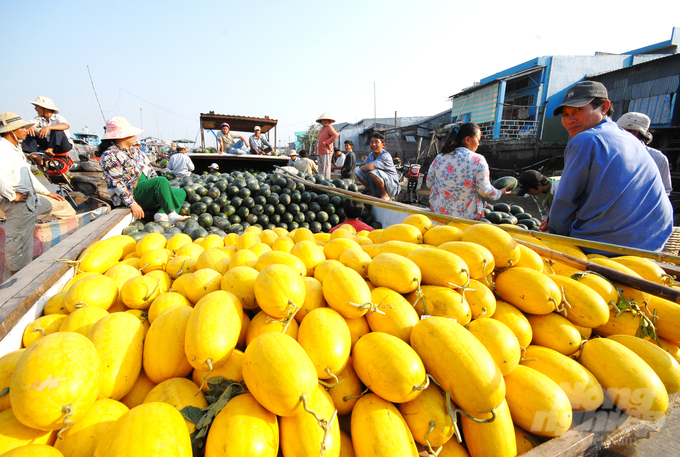 Những du khách Tây cười vui và thư giãn trên thuyền trên dòng sông Hậu, hòa mình vào không gian Tết ấm áp và sôi động của chợ nổi Cái Răng.