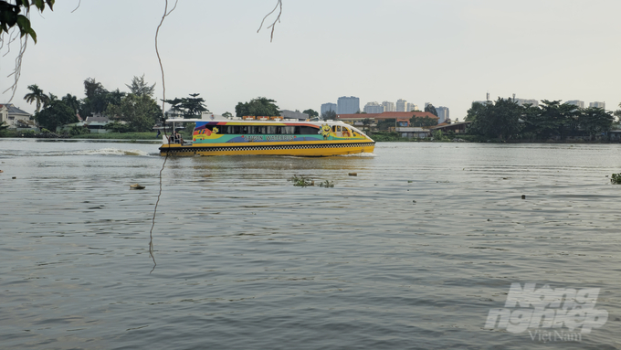 Chuyến buýt sông cuối năm từ Cần Giờ về đến sông Sài Gòn. Ảnh: Hồng Thủy.