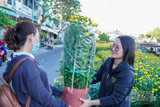 Cúc pha lê là một trong những lựa chọn được người dân ưu tiên chọn mua trưng trong ngày Tết. Ảnh: Lê Hoàng Vũ.