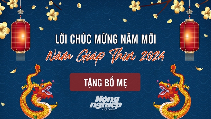 Lời chúc mừng năm mới Giáp Thìn 2024 tặng ông bà, bố mẹ, người thân