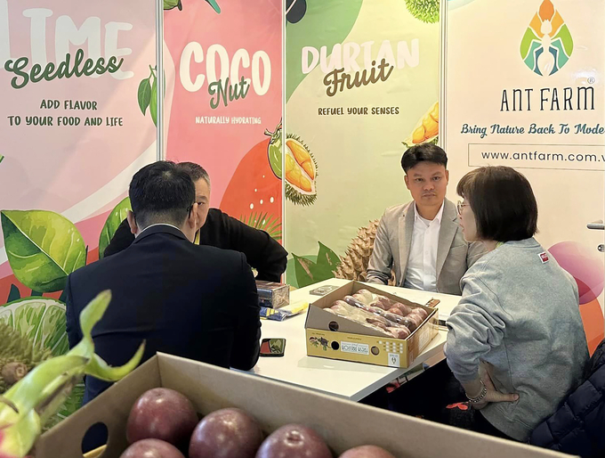 Doanh nghiệp Việt mang trái cây giới thiệu với khách hàng quốc tế tại Fruit Logistica 2024. 