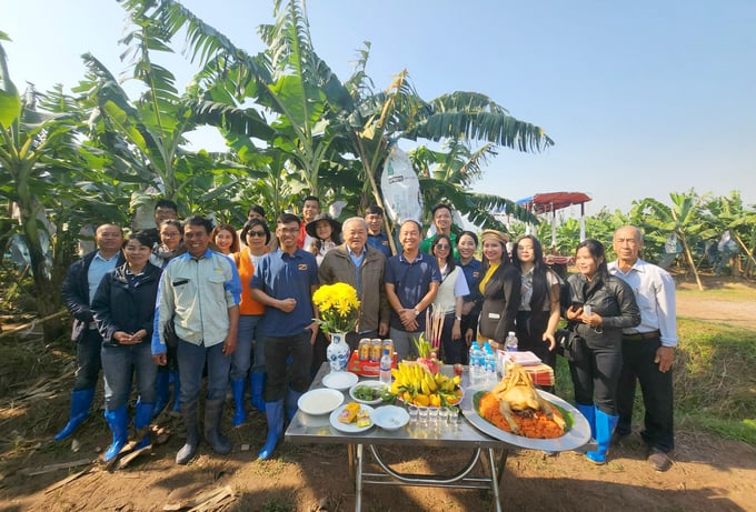 PGS.TS Nguyễn Minh Châu, ông Phạm Quốc Liêm cùng các thành viên của Unifarm dự lễ thu hoạch những trái chuối đầu tiên tại trang trại ở Hà Nam năm 2023.