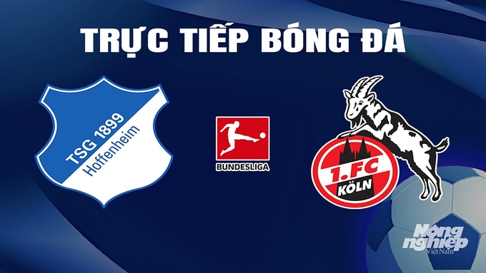 Trực tiếp bóng đá Bundesliga 20211/24 giữa Hoffenheim vs Koln hôm nay 11/2/2024