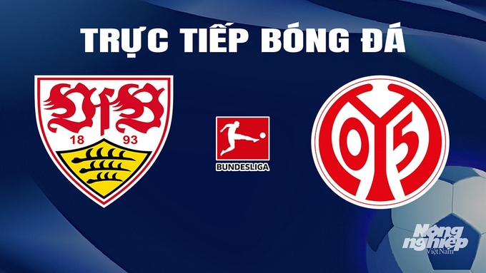 Trực tiếp bóng đá Bundesliga 20211/24 giữa Stuttgart vs Mainz 05 hôm nay 11/2/2024