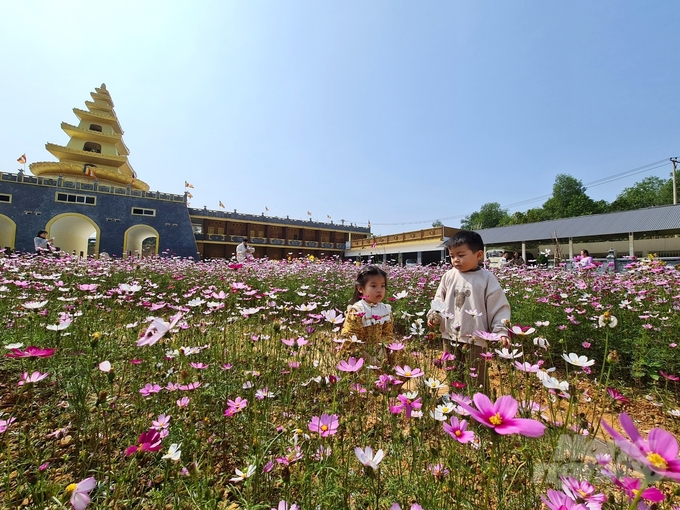 Khuôn viên đền, chùa ở xứ Tuyên cũng được quan tâm đầu tư cải tạo đẹp mắt.