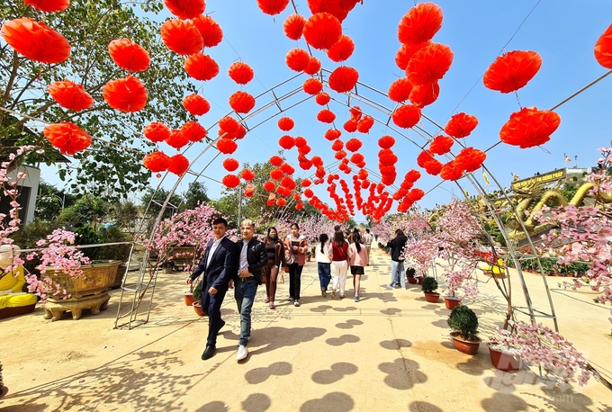 Do đó vào dịp đầu năm mới, hàng nghìn du khách từ các nơi đổ về xứ Tuyên để đi lễ chùa đầu năm.