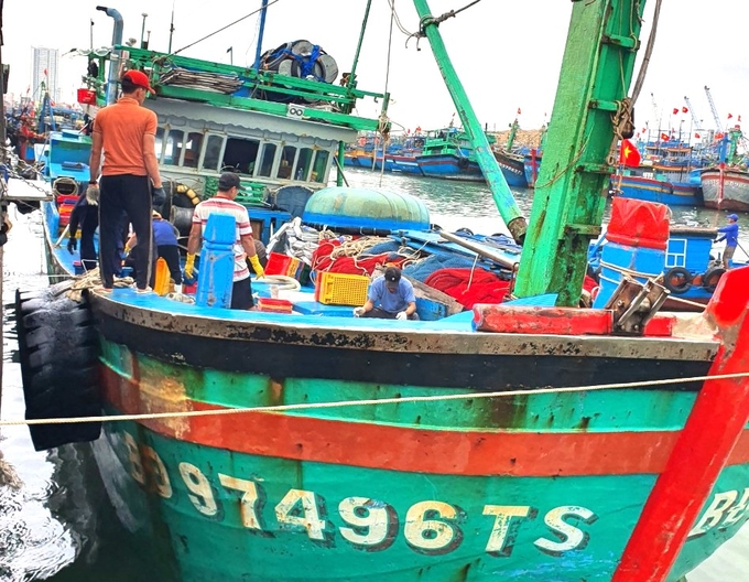 Tàu cá mang số hiệu BĐ 97496 TS của ngư dân Phạm Văn Sinh cập bờ vào 6 giờ sáng nay 13/2/2014. Ảnh: V.Đ.T.