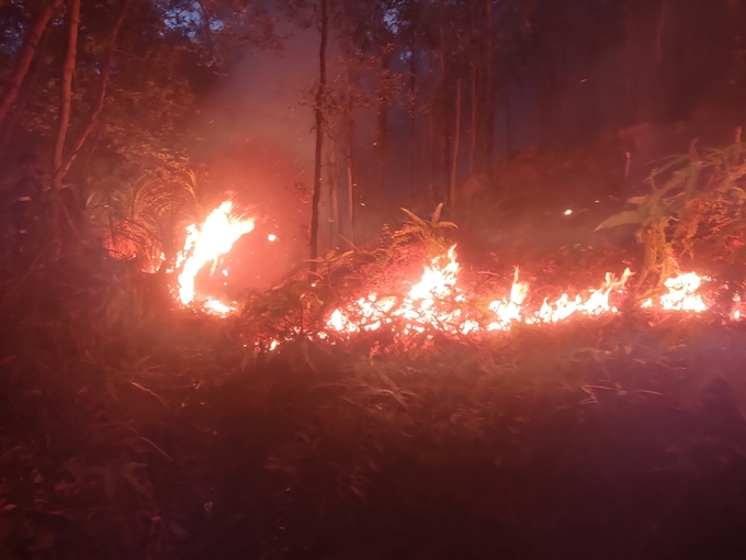 Cả 3 khu vực cháy rừng trên núi Sơn Đào đã được khống chế. Ảnh: KLHP.
