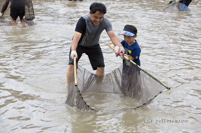 Trẻ con rất yêu thích bắt cá theo kiểu Doksal ở đảo Daeya cùng bố mẹ. Nguồn: goseosan.tistory.com