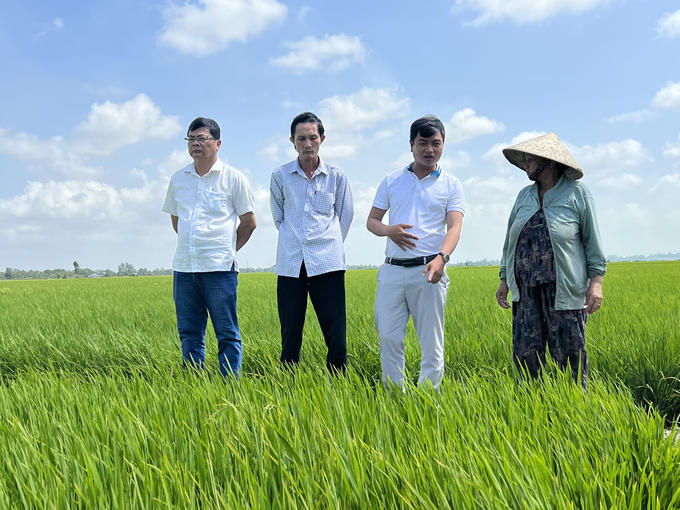 Sản xuất nông nghiệp là thế mạnh trong phát triển kinh tế - xã hội của huyện Vĩnh Lợi. Ảnh: Trọng Linh.