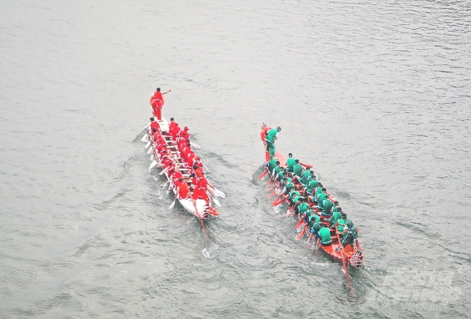Lễ hội đua thuyền trên sông Lô năm nay có 15 đội đua đến từ các xã, phường trên địa bàn thành phố Tuyên Quang tham gia.