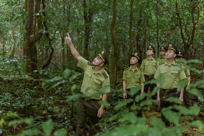 Cán bộ, chiến sĩ kiểm lâm Vườn Quốc gia Cúc Phương tuần tra bảo vệ rừng trong những ngày Tết Giáp Thìn.