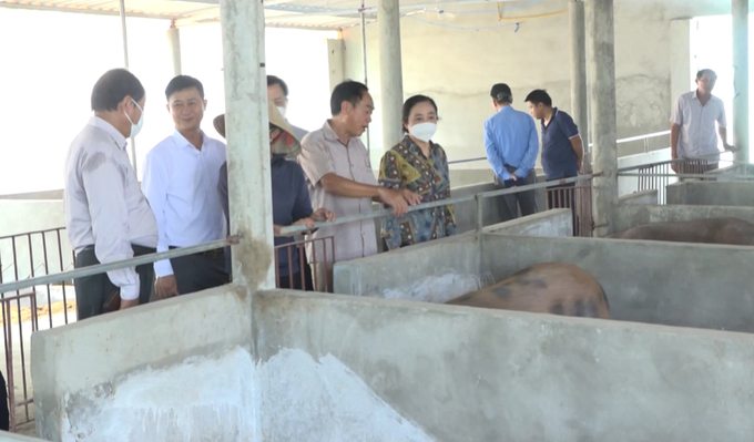 Tập đoàn Quế Lâm là 'bà đỡ' đồng hành cùng nông dân Hà Tĩnh liên kết chăn nuôi lợn...